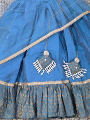 Designer Lehnga Choli set