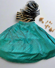 Shimmer Skirt and Designer Top