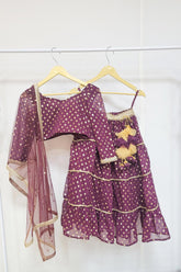 Wine Foil Printed Lehenga Set